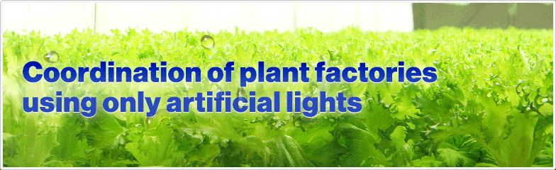 Coordination of plant factories using only artificial lights,M2 Solution Co., Ltd.