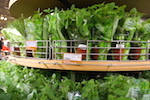The harvested vegetables - 2