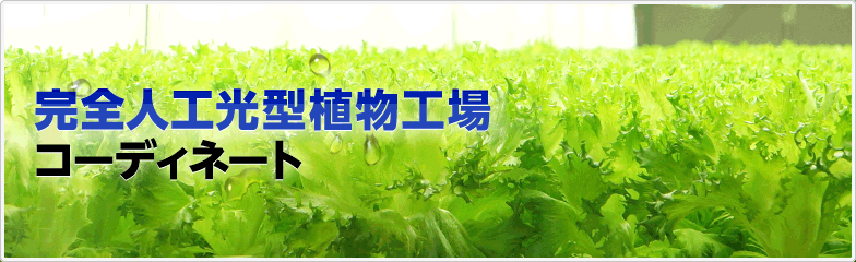 国内、海外で数々の実績。完全人工光型植物工場コーディネート 株式会社エムツーソリューション